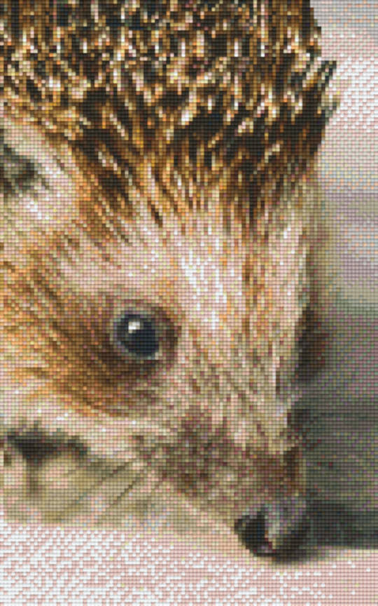 Hedgehog Eight [8] Baseplate PixelHobby Mini-mosaic Art Kit